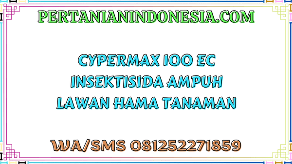 Cypermax 100 EC Insektisida Ampuh Lawan Hama Tanaman